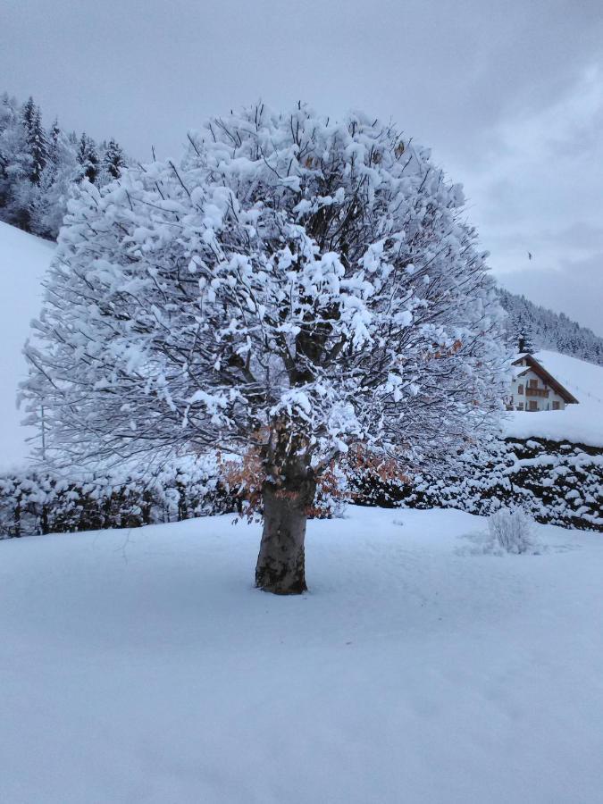 Haus Kieler Apartamento Schladming Exterior foto